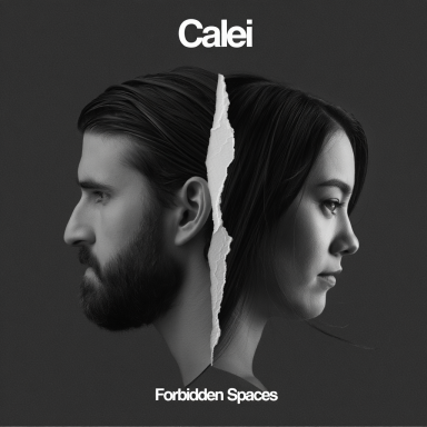 Forbidden Spaces Forbidden Spaces