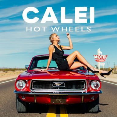 Hot Wheels Hot Wheels